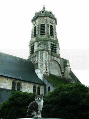 Eglise St Léonard_021.JPG
