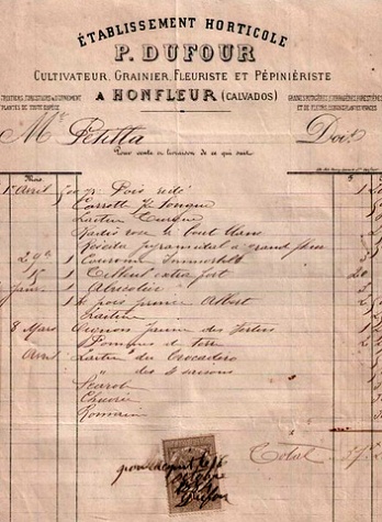 DUFOUR  (Etablissement Horticole 1882).jpg