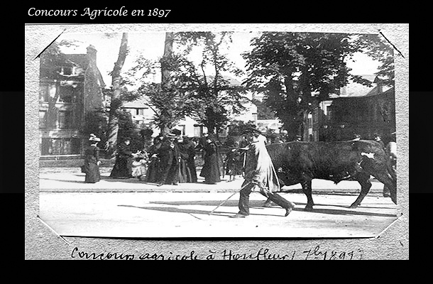 Concours Agricole de 1897_a.jpg