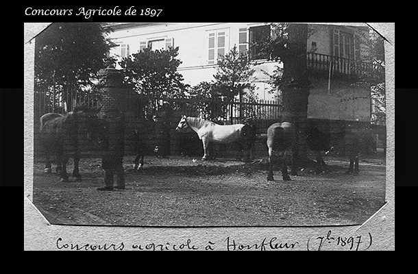 Concours_Agricole_de_1897_b.jpg