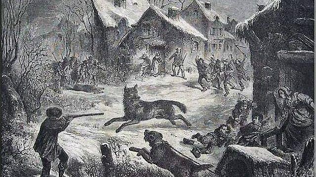 1867-une-bete-terrorise-le-canton.jpg