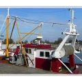 recentboats 601